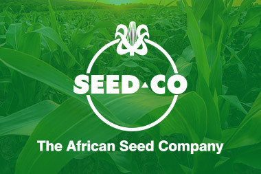 SEED.CO